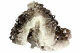 Gorgeous, Smoky Quartz Crystal Cluster - Brazil #79937-1